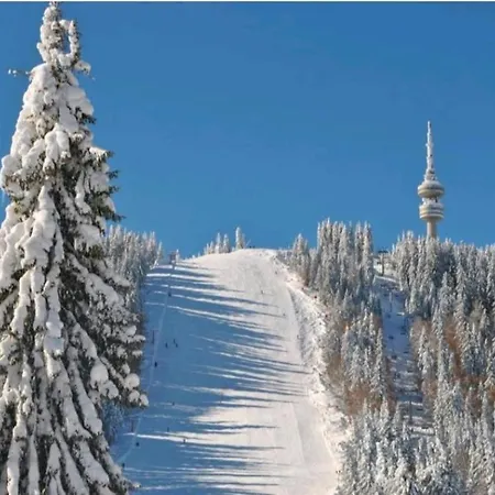 Sam In Grand Monastery