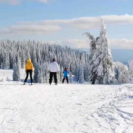 Sam In Grand Monastery Pamporovo