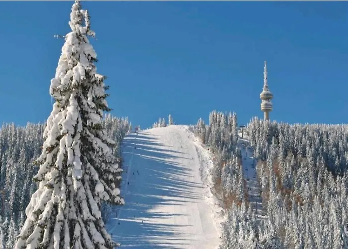 Sam In Grand Monastery